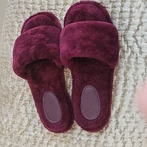 Coach Slippers